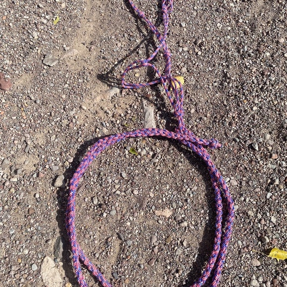 Horse/livestock halters, dog leashes- collars, headstall,and more. .. - Picture 8 of 12